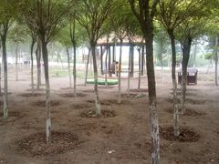 -西青郊野公园