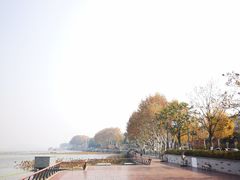 -放鹰台遗址