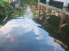 -香麒园·过桥米线·南湖雅宴