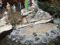 -八景休閒山莊  廣東十大名山莊