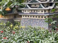 -南宫五洲植物乐园