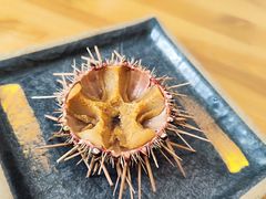 -海胆小馆(东北水饺·春柳店)