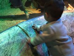 -沈阳海洋探索中心