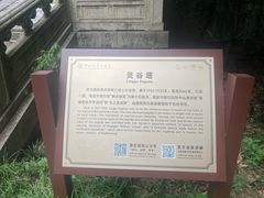 -灵谷景区