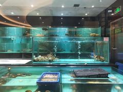 水产区-春满园·早茶·粤菜·宴会(喜宴店)
