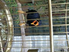 android_upload_pic-那家小馆•北京菜•烤鸭(中关村店)