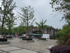 -合肥野生动物园