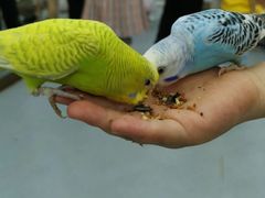 -荆州中山公园动物园