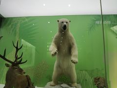 -国家自然博物馆