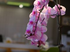 -十一咖啡(青年大街工厂店)