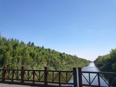 -黄海国家森林公园