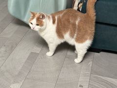 -酷狗靓猫宠物·洗护·美容·寄养(航北路店)