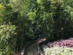 -菊花台公园
