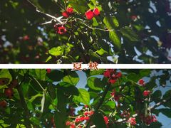 -南京市无想山景区