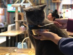 -小时光咖啡馆(开森度假森林店)