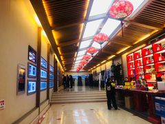 -刘老根大舞台-长春旗舰店