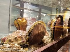 -甄御•海鲜新青岛菜(麦岛店)