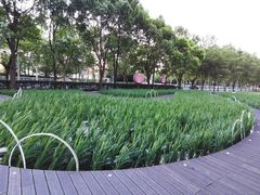 -证大喜玛拉雅中心