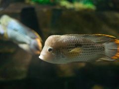 -石林冰雪海洋世界