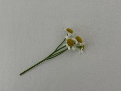 -豆豆花艺(新光天地店)