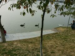 -艾溪湖湿地公园