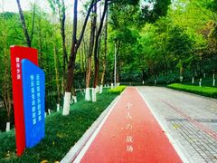 -龙头寺公园