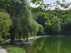 -大连北马山庄
