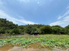 -国恩寺