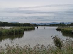 -野鸭湖国家湿地公园
