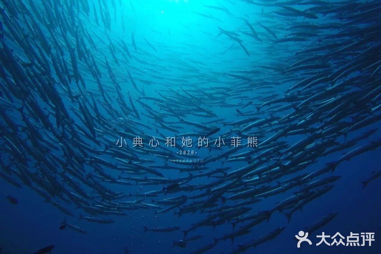 国内好像是没有到仙本那的直达航班