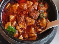 -陈麻婆豆腐总店