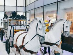 -世界之窗阿尔卑斯冰雪世界
