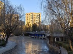 -团结湖公园