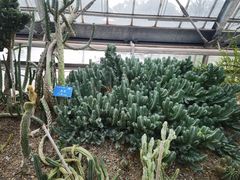 -南山植物园