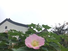 -天下银坑