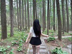 -洛阳白云山景区