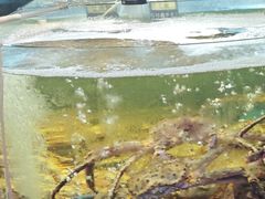 -蟹之国·精品蟹料理(极地店)