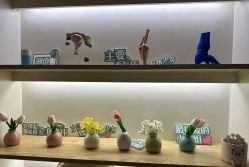 -1001普拉提运动