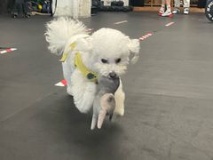 -AMRAP综合体能训练