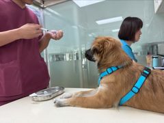 -宠颐生中康贝怡动物医院