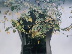 -郑和公园