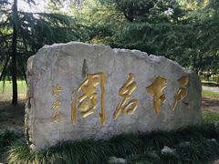 -水绘园