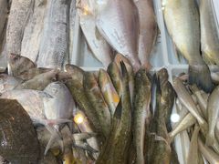 -闽鲜森霞浦海鲜城