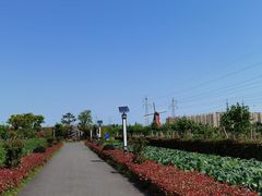 -菊园百果园