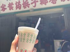 -洪馨椰子