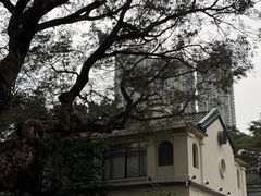 -九龙公园