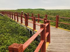 -北海金海湾红树林生态旅游区