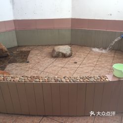 小池多少人口_小池古诗配画图片