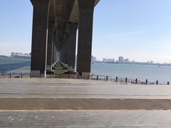 -中澳友谊花园