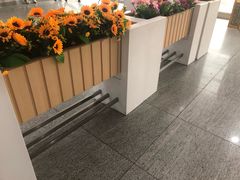 -中国医科大学附属盛京医院(南湖院区)